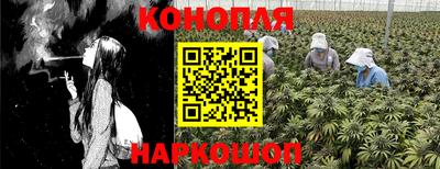спиды Коммунар