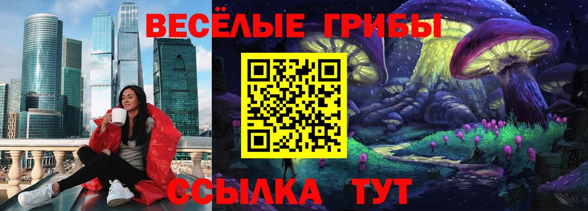 Псилоцибиновые грибы Cubensis  Вход с VPN  Бутурлиновка 